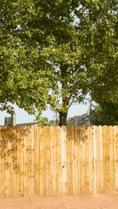 Clôture landes sud ouest